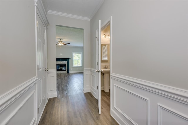 5816 Whispering Pines Way, Evans, GA 30809 - hall featuring ornamental molding, dark wood finished floors, a wainscoted wall, and a decorative wall