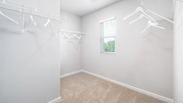 walk in closet with carpet