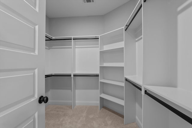 831 Whitney Shoals Rd, Evans, GA 30809 - spacious closet with light carpet