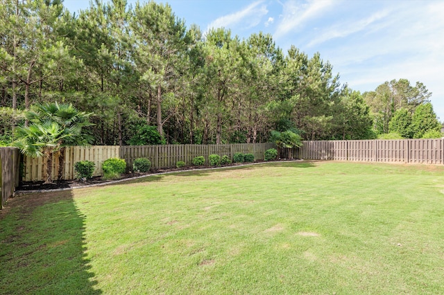 view of yard