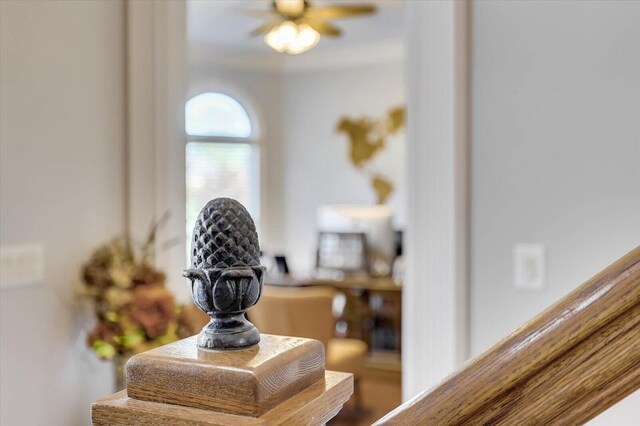 room details with ceiling fan