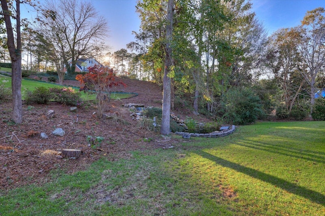 view of yard at dusk