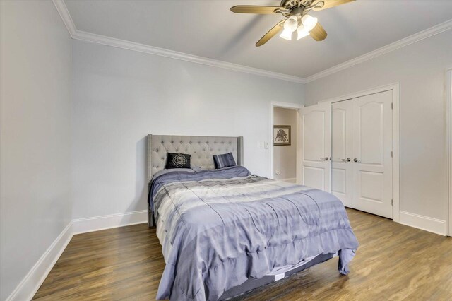 bedroom with dark hardwood / wood-style flooring, ceiling fan, a closet, and crown molding