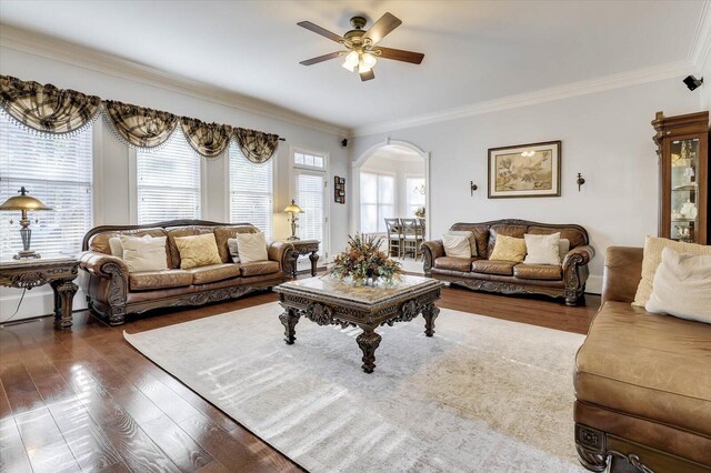 living room with ceiling fan, dark hardwood / wood-style floors, and crown molding