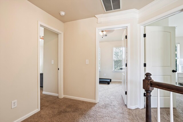 166 Mossy Oak Cir, Belvedere, SC 29841 - photo 21