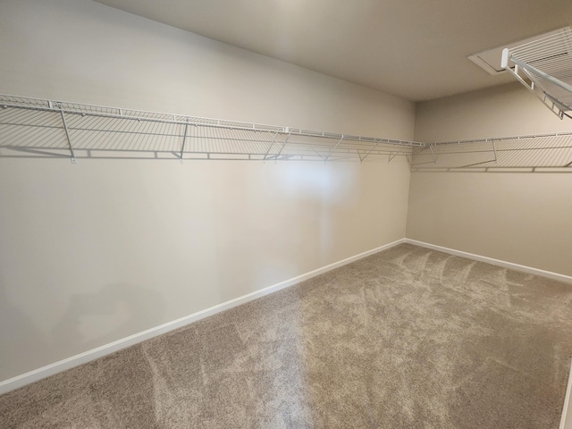 walk in closet featuring carpet floors