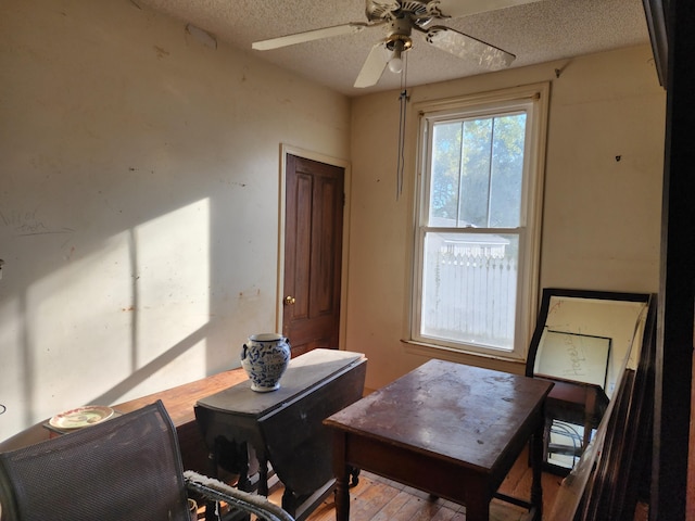 sitting room with ceiling fan, a textured ceiling, and light wood-type flooring