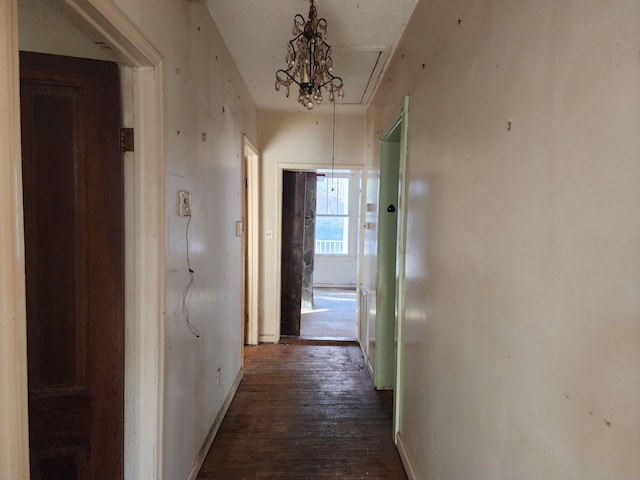 hallway with dark hardwood / wood-style floors