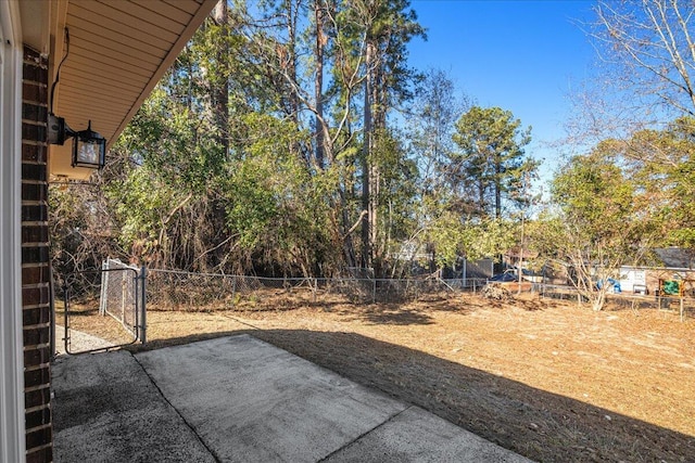 view of yard featuring a patio