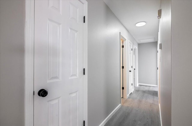 corridor featuring dark hardwood / wood-style flooring