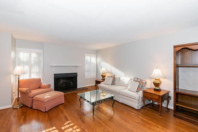 living room featuring hardwood / wood-style floors