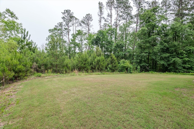 552 River Oaks Ln, Evans, GA 30809 - view of grassy yard
