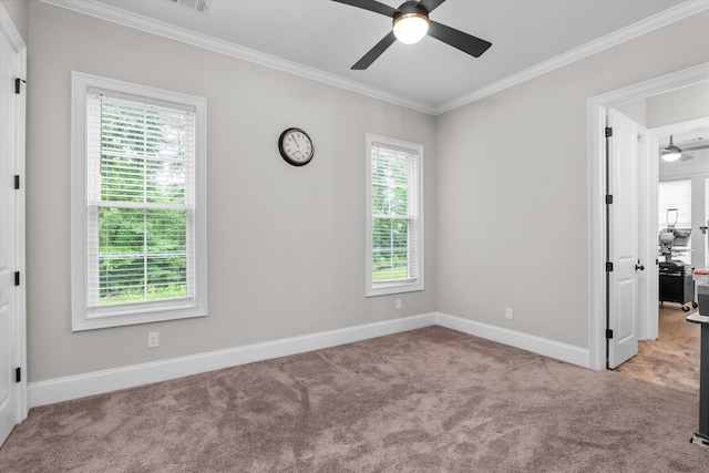 552 River Oaks Ln, Evans, GA 30809 - unfurnished bedroom featuring carpet floors, crown molding, multiple windows, baseboards, and ceiling fan
