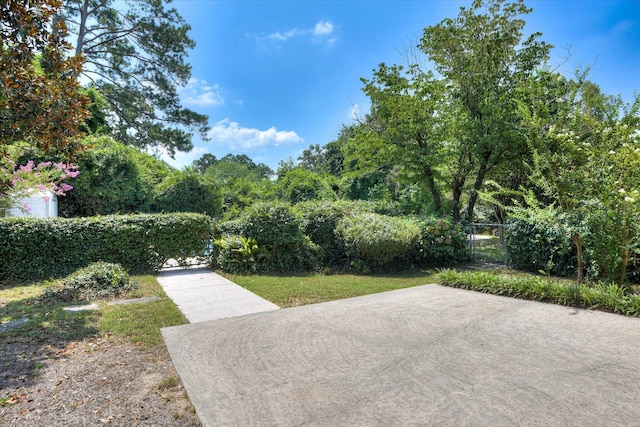 2234 Silverdale Rd, Augusta, GA 30906 - photo 40
