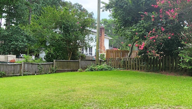 2023 Pisgah Rd, North Augusta, SC 29841 - view of yard