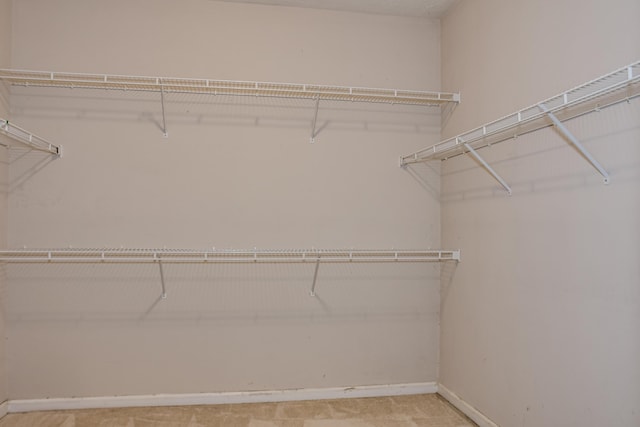 215 Mineral Ct, Evans, GA 30809 - view of walk in closet