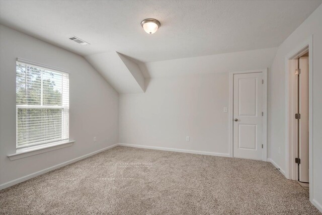 additional living space featuring a textured ceiling, carpet, and vaulted ceiling