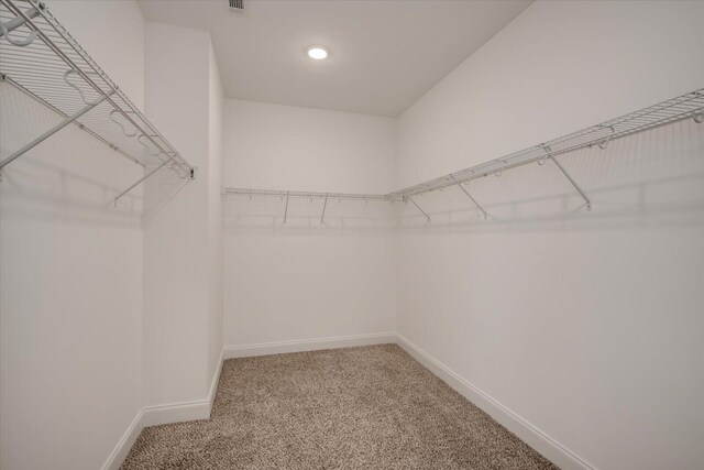 spacious closet with carpet floors