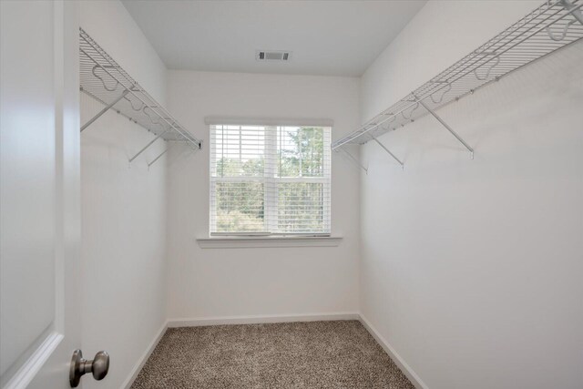 walk in closet with carpet flooring