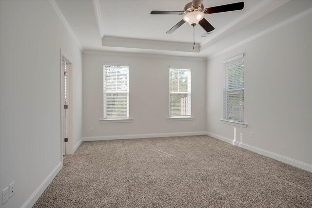 carpeted spare room featuring a raised ceiling, ceiling fan, and ornamental molding