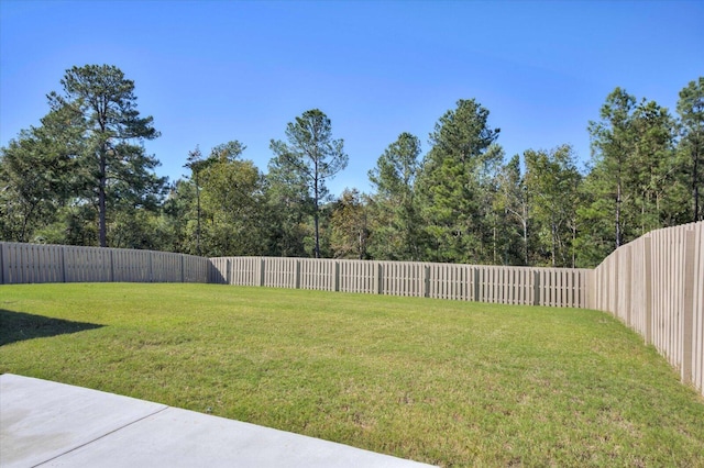 398 Windsor Dr, North Augusta, SC 29860 - photo 44