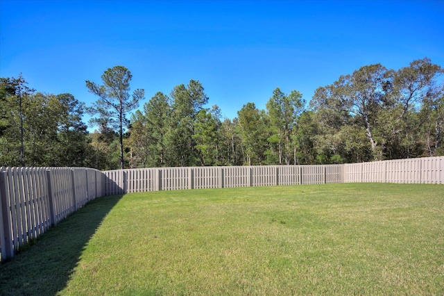 398 Windsor Dr, North Augusta, SC 29860 - photo 47
