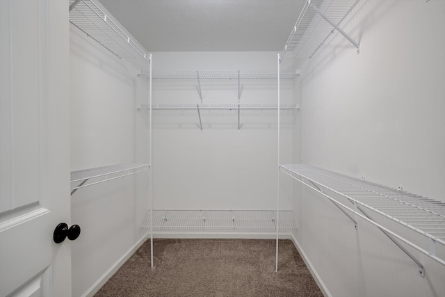 5186 Copse Dr, Augusta, GA 30909 - walk in closet featuring carpet