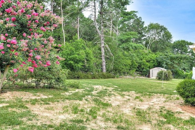 2023 Warren Ct, North Augusta, SC 29860 - photo 37