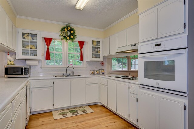 2023 Warren Ct, North Augusta, SC 29860 - photo 9