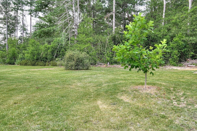 2023 Warren Ct, North Augusta, SC 29860 - photo 42