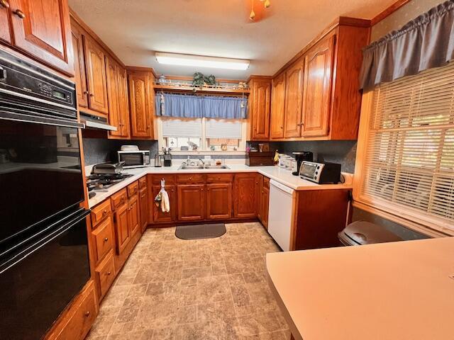 kitchen featuring a sink, light countertops, under cabinet range hood, appliances with stainless steel finishes, and brown cabinets