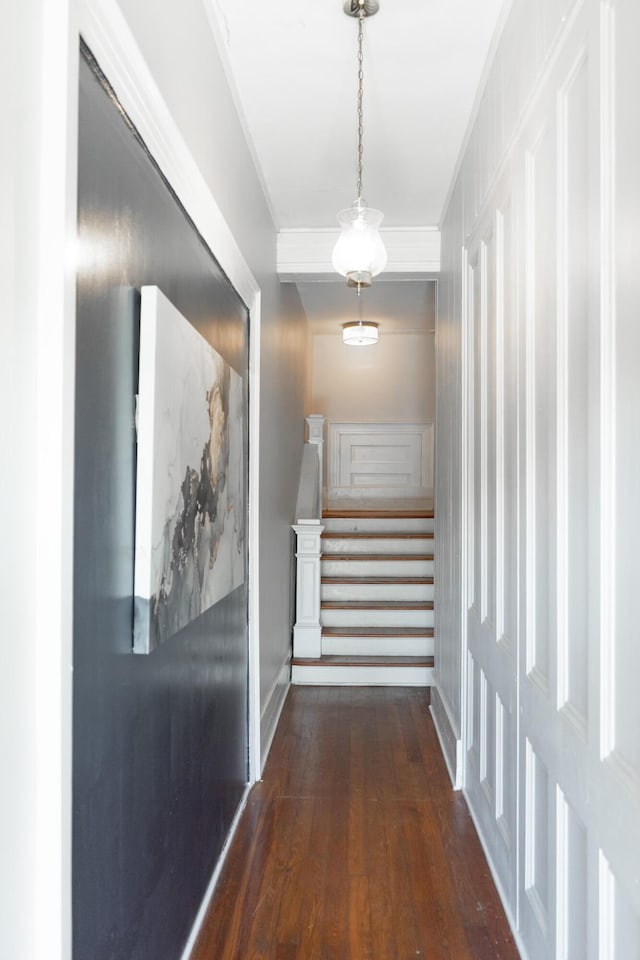 corridor featuring dark hardwood / wood-style flooring and ornamental molding