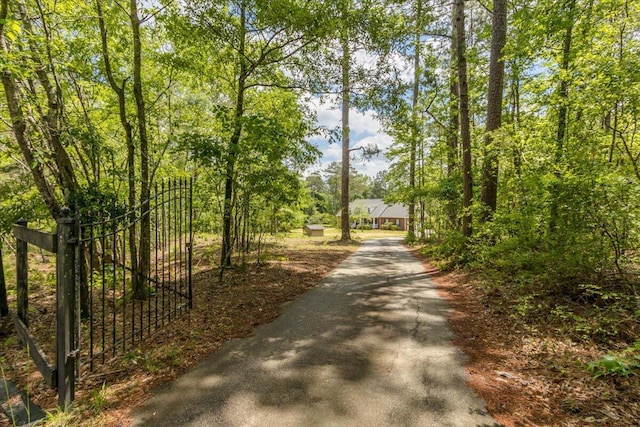 view of street featuring driveway