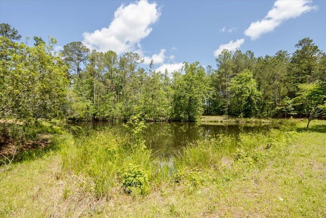 view of nature with a water view