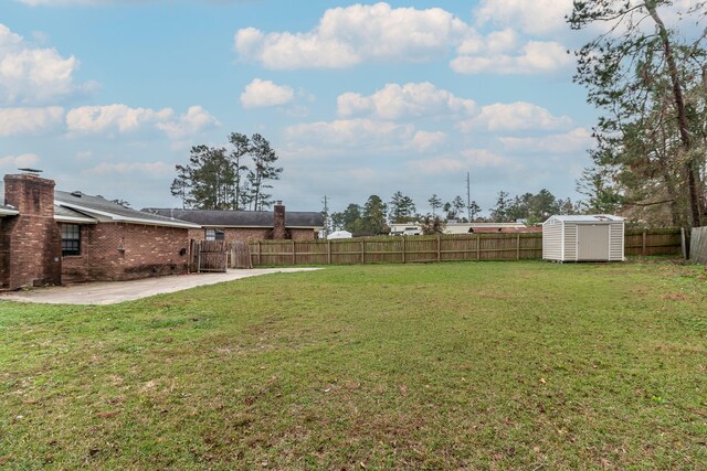 view of yard featuring a patio and a storage unit