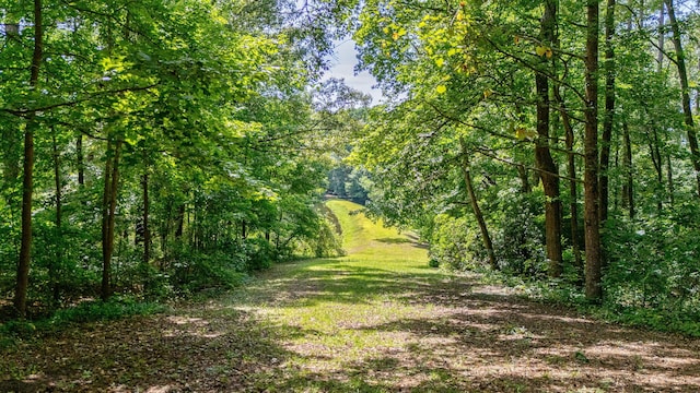 LOT7 Woodspring Ct, North Augusta, SC 29860 - photo 11