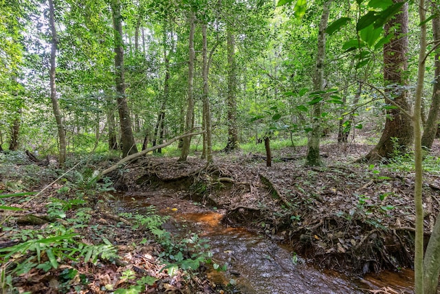 LOT7 Woodspring Ct, North Augusta, SC 29860 - photo 4