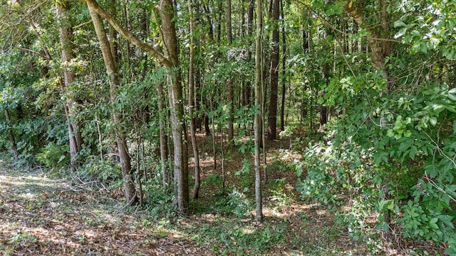 LOT7 Woodspring Ct, North Augusta, SC 29860 - photo 10