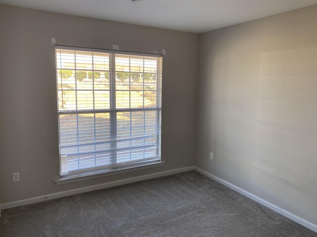 spare room with carpet flooring