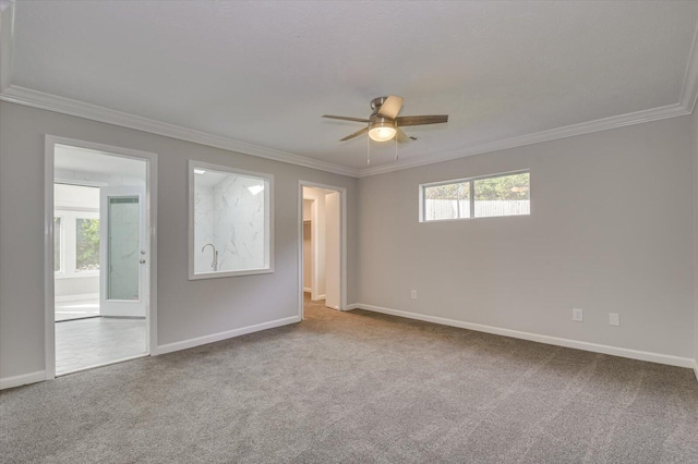 2417 Wilkshire Dr, Augusta, GA 30904 - spare room with a wealth of natural light, crown molding, carpet, and a ceiling fan