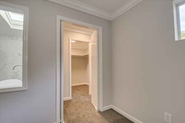 2417 Wilkshire Dr, Augusta, GA 30904 - hallway featuring a skylight, baseboards, carpet floors, and ornamental molding