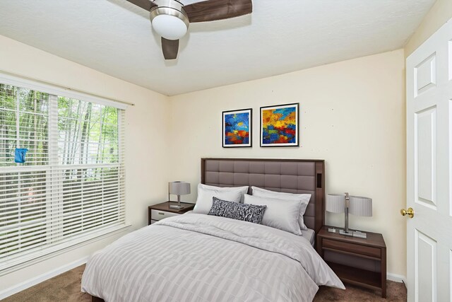 3758 Boulder Trl, Augusta, GA 30907 - bedroom with carpet and ceiling fan