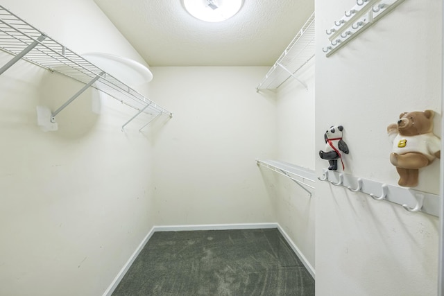3758 Boulder Trl, Augusta, GA 30907 - walk in closet featuring dark colored carpet