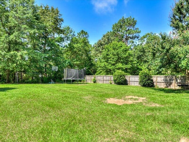 2084 Gardenview Dr, Graniteville, SC 29829 - view of yard featuring a trampoline
