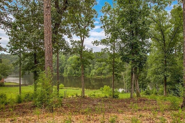 341 Equinox Loop, Aiken, SC 29803 - photo 41