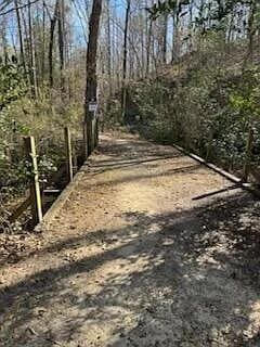 341 Equinox Loop, Aiken, SC 29803 - photo 42