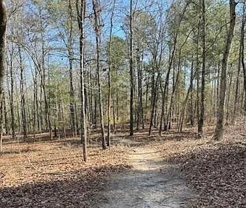 341 Equinox Loop, Aiken, SC 29803 - photo 40