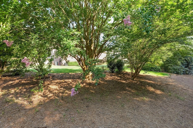 1456 Knob Hill Cir, Evans, GA 30809 - photo 53