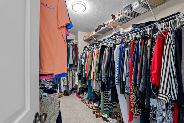 1610 Cedar Hill Dr, Grovetown, GA 30813 - spacious closet with carpet flooring