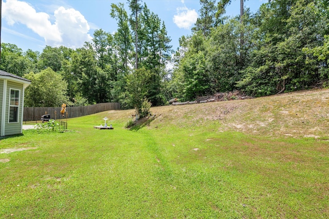 1610 Cedar Hill Dr, Grovetown, GA 30813 - view of yard
